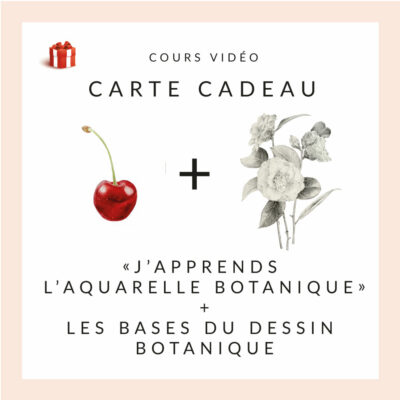 1 cours de dessin botanique + 1 cours d'aquarelle botanique - Anne-Solange Tardy