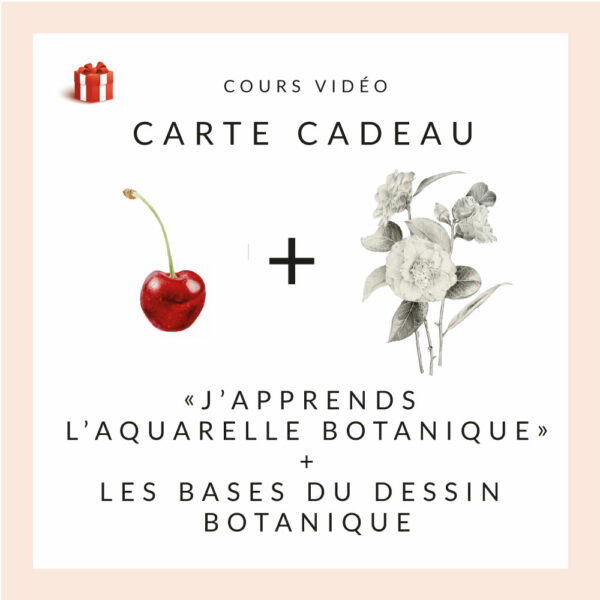 1 cours de dessin botanique + 1 cours d'aquarelle botanique - Anne-Solange Tardy