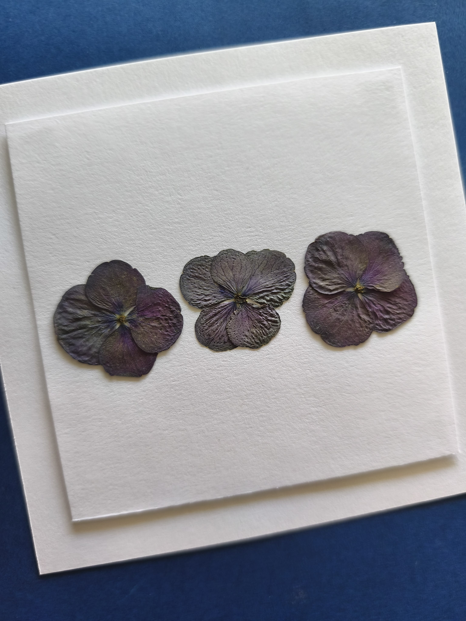 Mini herbier 3 hortensias violets – Image 2