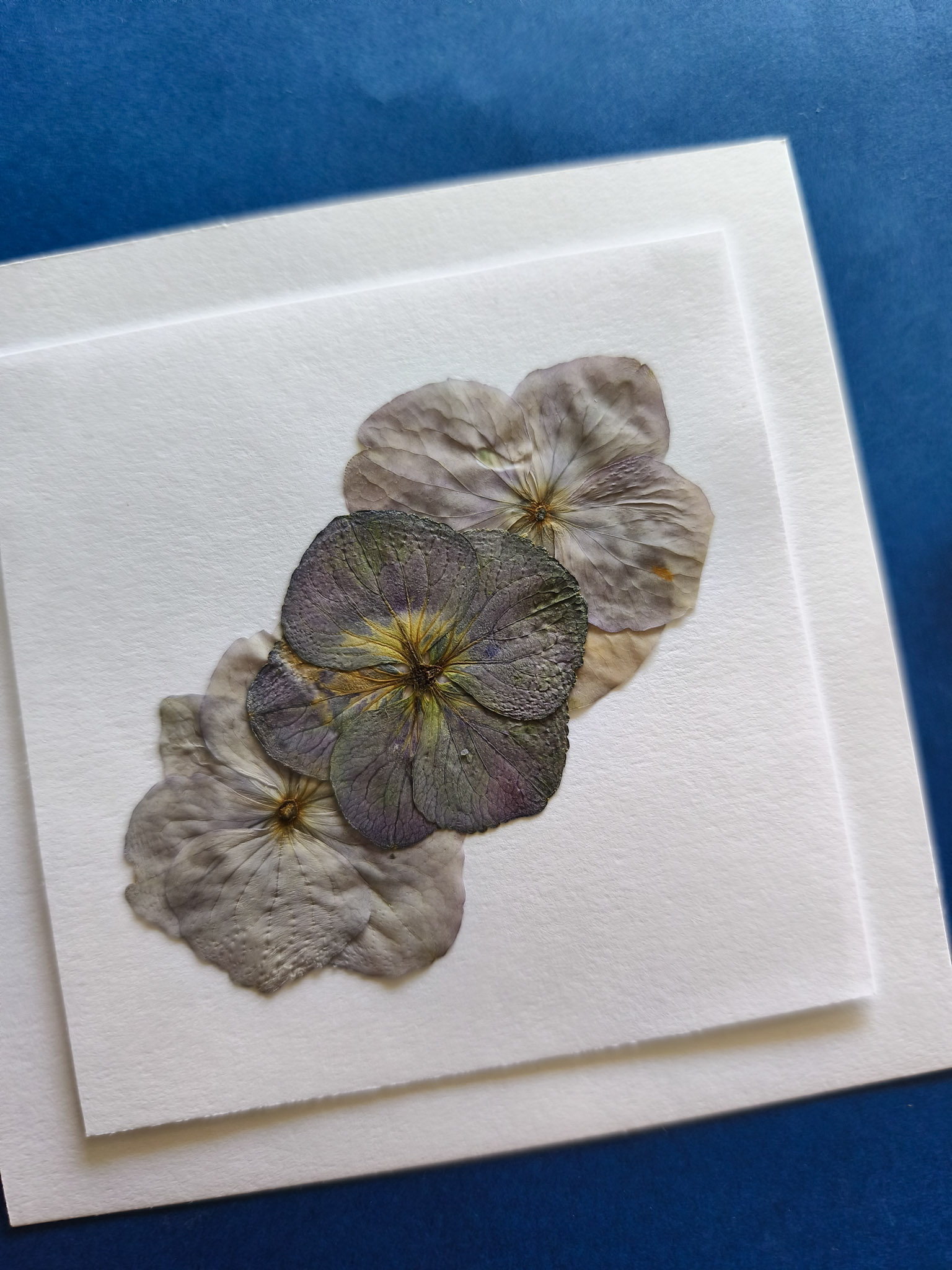 Mini herbier 3 hortensias – Image 2